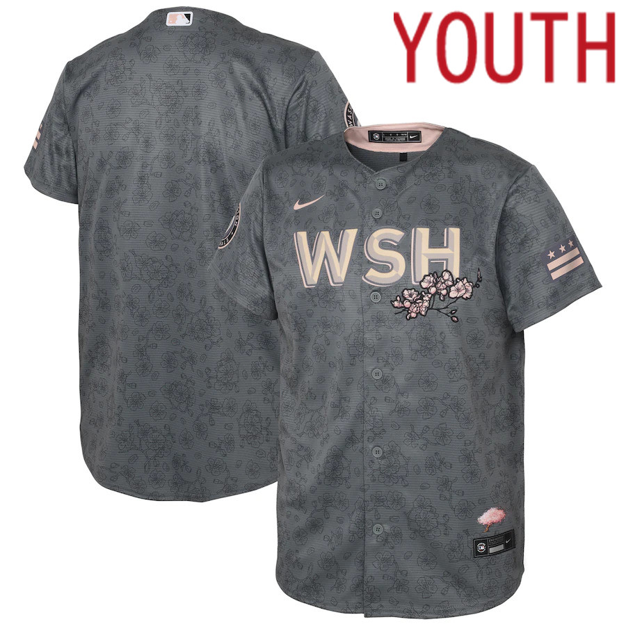 Custom Youth Washington Nationals Blank Nike Gray 2022 City Connect Replica MLB Jersey->customized mlb jersey->Custom Jersey